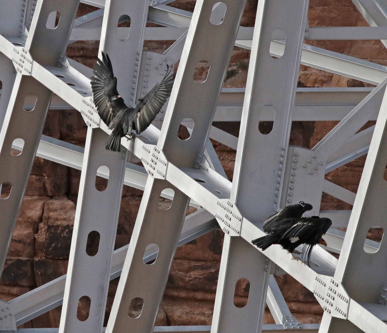 Cara Benar dan Aman Memasang Scaffolding