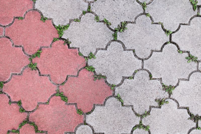 9 Cara Pasang Paving Block untuk Halaman Rumah dengan Benar