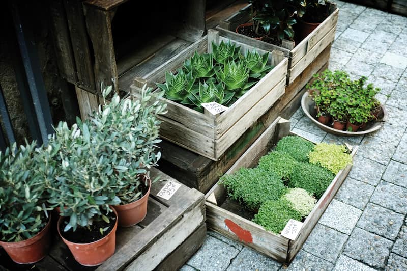 Apa Itu Planter Box dan Langkah-langkah Pembuatannya
