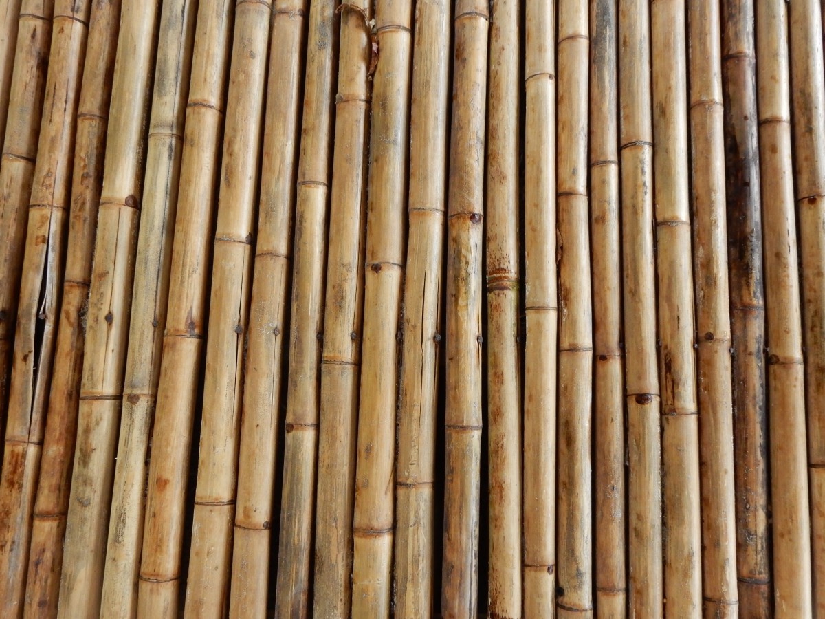 12 Bahan Mentah untuk Bangunan Kuat dan Kokoh