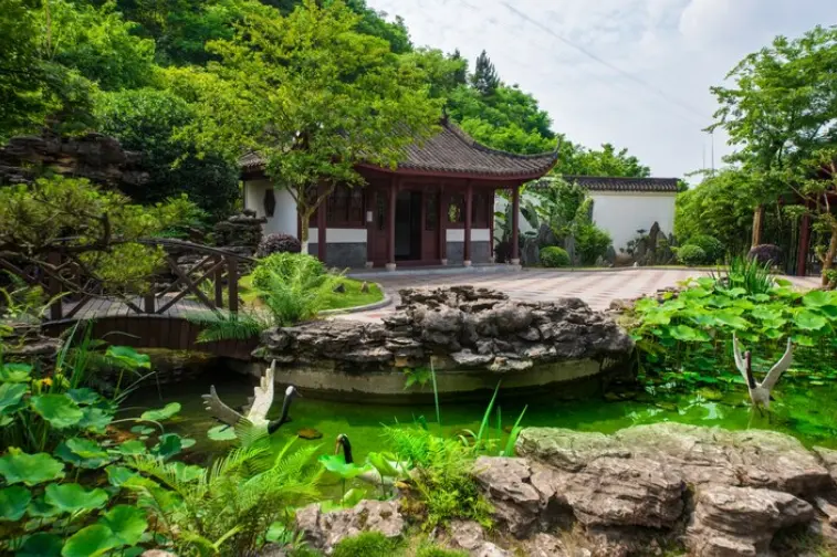 6. Desain Rumah Tropis dengan Kolam Ikan