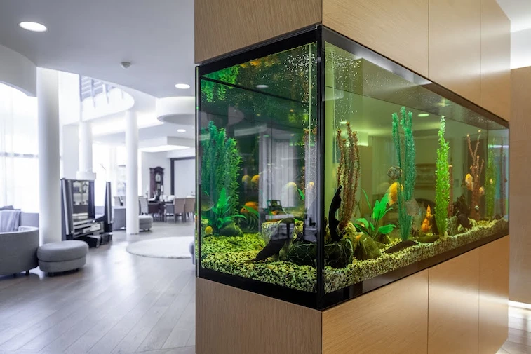 Aquarium sebagai Pembatas Ruang Tamu dan Dapur