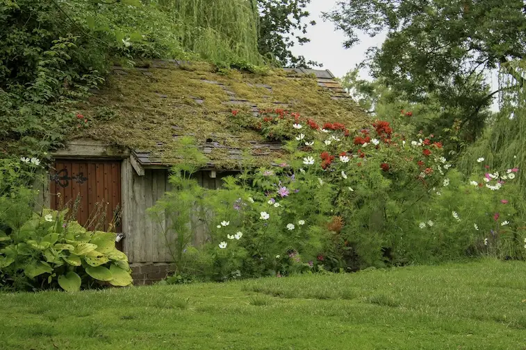Cottage Garden