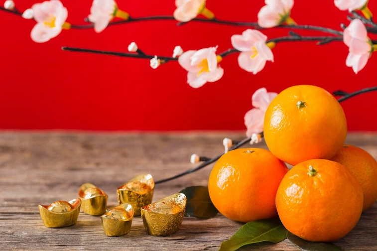 Dekorasi Imlek Sederhana Hiasan Pohon Kumquat