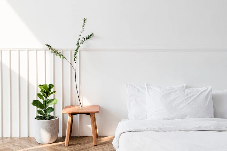 Desain Kamar Tidur Kasur Bawah dengan Tanaman Hijau