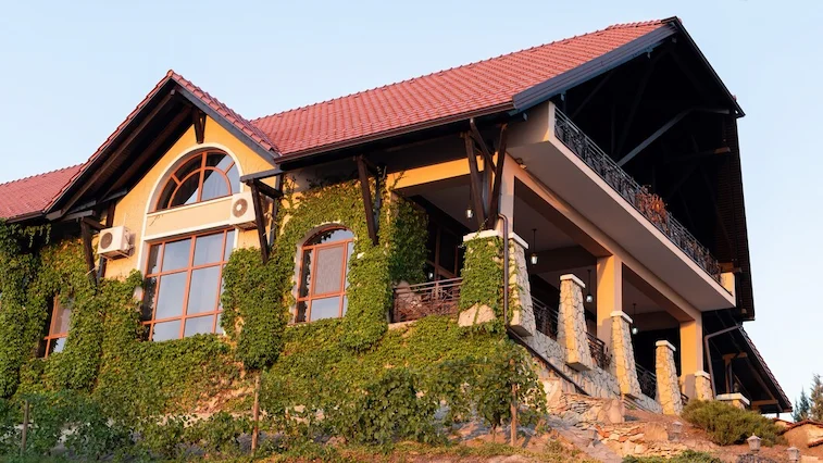 Desain Rumah Minimalis di Tanah Menurun Futuristik