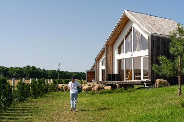 Desain Rumah Tanah Menurun Jendela Besar