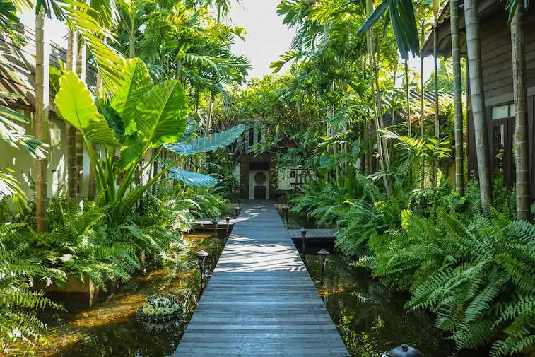 Desain Taman Rumah Ala Tropis
