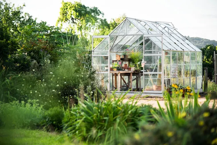 Desain Taman Rumah Permaculture