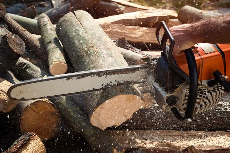 Gergaji Rantai (Chainsaw)