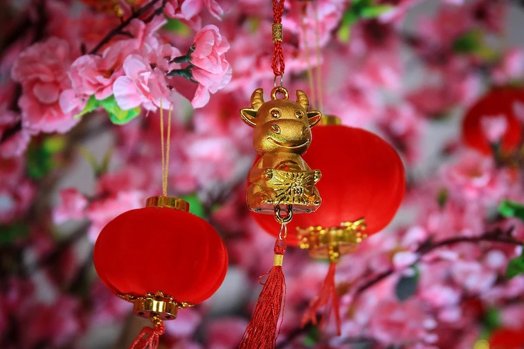 Hiasan Shio yang Menggemaskan