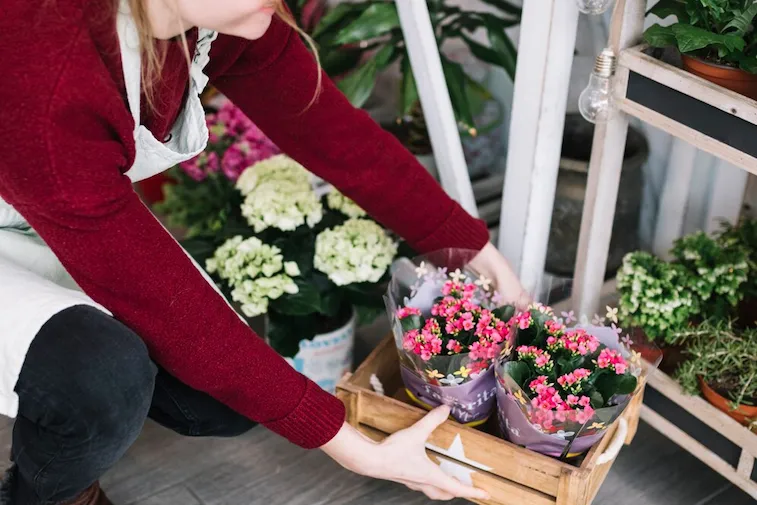 Planter Box Bertingkat (Tiered Planter Box)Â 