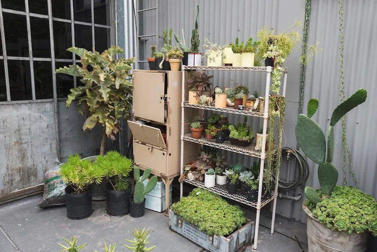 Planter Box Teras (Deck Planter Box)Â 