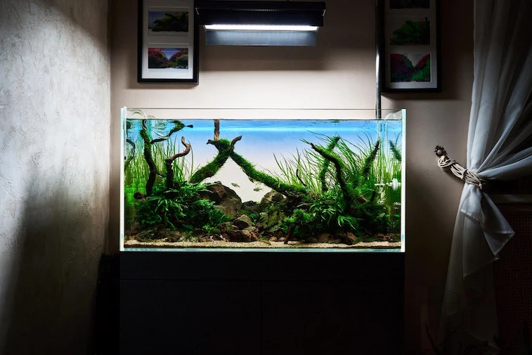Ruang Tamu Klasik dengan Aquarium