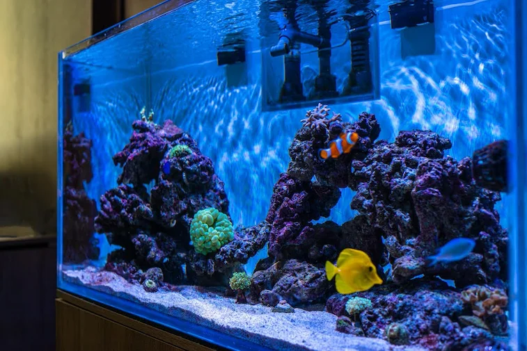 Ruang Tamu Minimalis dengan Aquarium