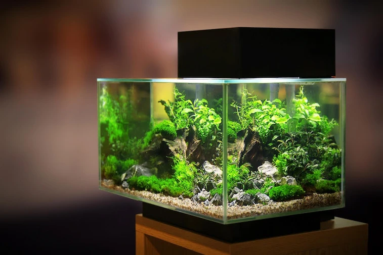 Ruang Tamu dengan Meja Aquarium