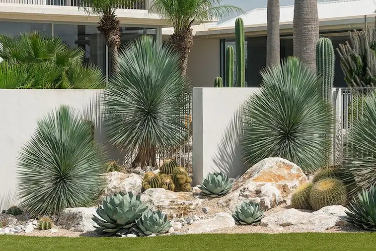 Taman atau Kebun Kering (Xeriscape)