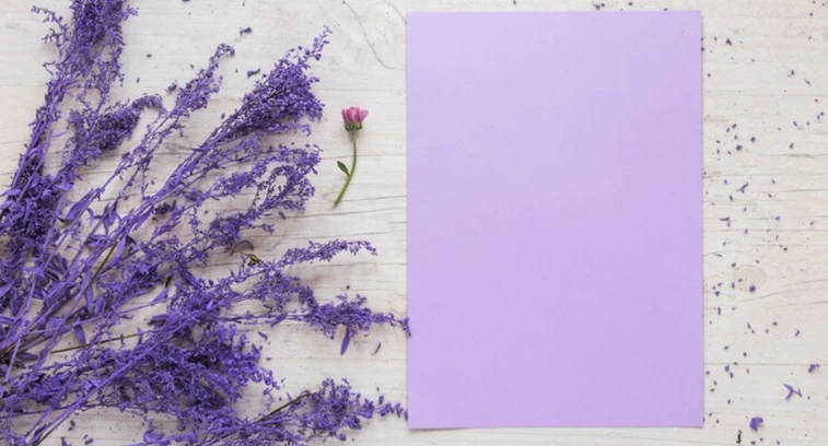 Ungu Lavender yang Menenangkan