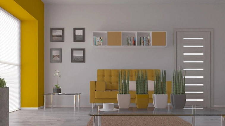 Warna Abu-abu dan Kuning Tua